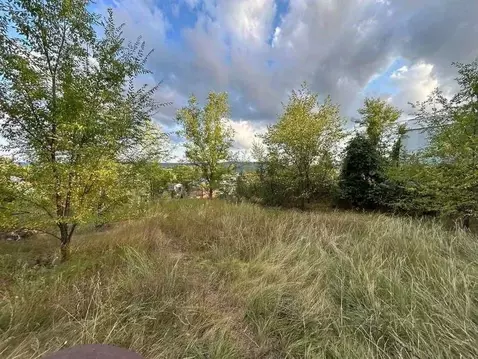 Участок в Самарская область, Тольятти Березка СТ,  (6.0 сот.)