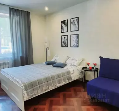 Студия Новосибирская область, Бердск Лунная ул., 1 (28.0 м)