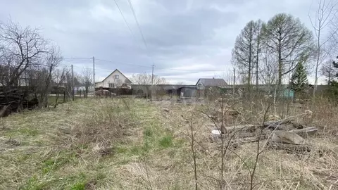 Участок в Костромская область, Шарьинский район, Шангское с/пос, с. ...