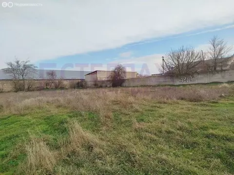 Участок в Журавки, улица Ленина (25 м)