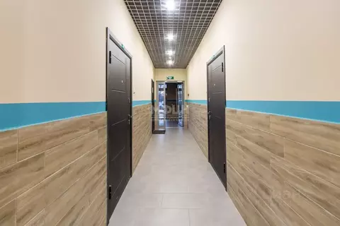 Помещение свободного назначения в Карелия, Петрозаводск Береговая ул., ...