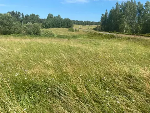 Участок в Новгородская область, Маловишерский район, Бургинское с/пос  ...