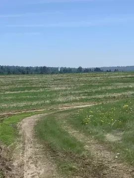 Участок в Иркутская область, Иркутский муниципальный округ, с. ...