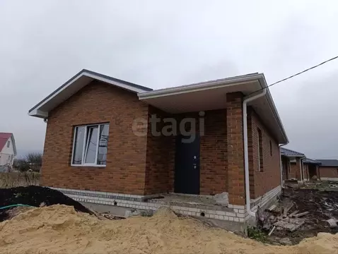 Дом в Воронежская область, с. Новая Усмань ул. Луговая, 47 (105 м)