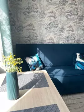 1-к кв. Новосибирская область, Новосибирск Красный просп., 167/4 (40.0 ...