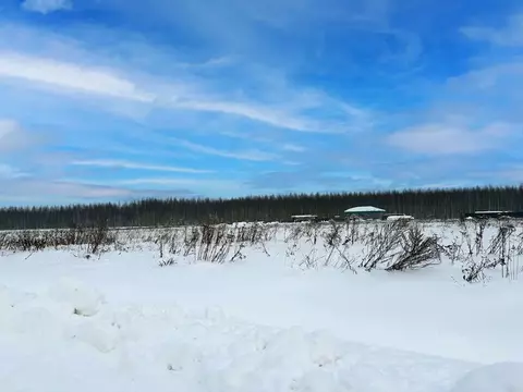 Участок в Московская область, Раменский муниципальный округ, Оттепель ...