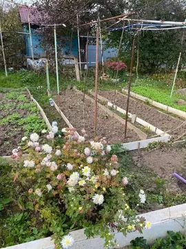 Участок в Нижегородская область, Кстово Волга СНТ,  (6.0 сот.)