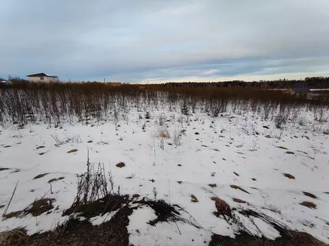 Участок в Московская область, Рузский муниципальный округ, д. Леньково ...