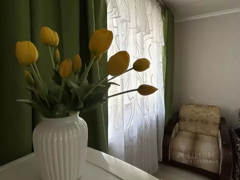 Комната Саратовская область, Саратов ул. 2-я Пионерская, 30/36 (13.0 ...