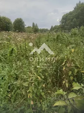 Участок в Ярославская область, Ярославский муниципальный округ, д. ...