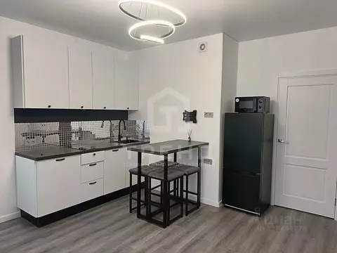 Студия Санкт-Петербург ул. Струве, 8к2 (23.8 м)