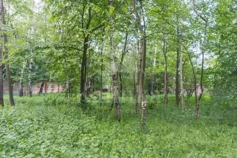 Участок в Московская область, Одинцовский городской округ, д. Лызлово ...