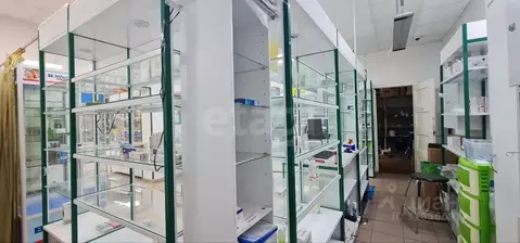 Помещение свободного назначения в Калужская область, Спас-Деменск ...