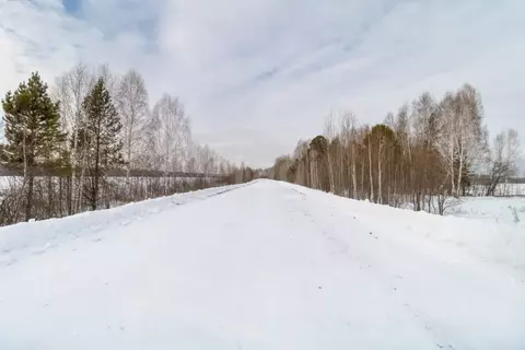 Участок в Тюменская область, Тюмень  (2481.16 сот.)