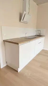 Студия Санкт-Петербург просп. Королева, 64к1 (24.5 м)