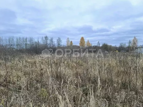 Участок в Тюменская область, Тюмень Царево садовое товарищество, ул. ...