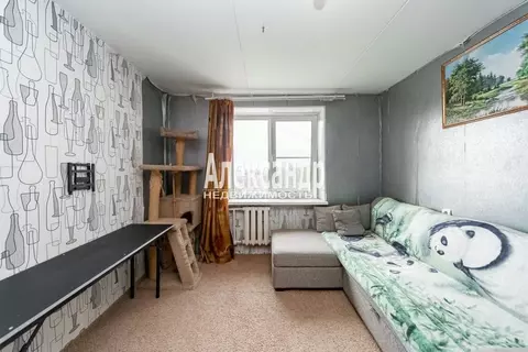 Комната Санкт-Петербург ул. Партизана Германа, 37 (12.0 м)