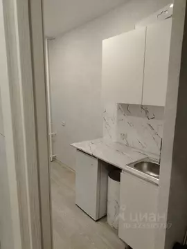 Студия Новосибирская область, Новосибирск ул. Гоголя, 17А (16.0 м)