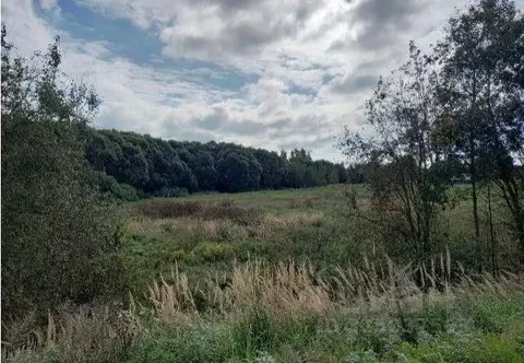 Участок в Московская область, Дмитровский муниципальный округ, д. ...