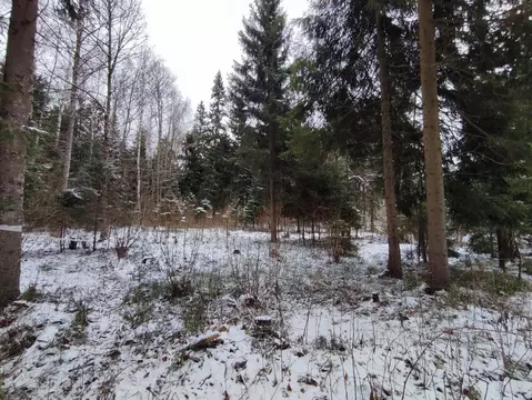 Участок в Московская область, Одинцовский городской округ, пос. НИИ ...