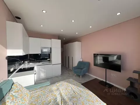 Студия Москва Мичуринский просп., 56 (27.6 м)