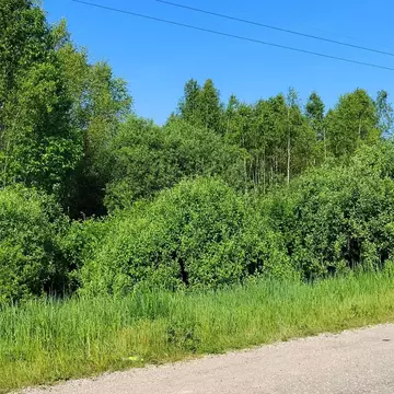 Участок в Смоленская область, Гагаринское с/пос, д. Рыльково  (120.0 ...