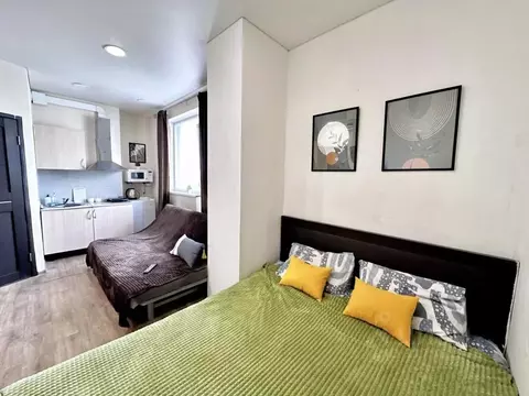 1-к кв. Самарская область, Самара Корабельная ул., 10 (28.0 м)