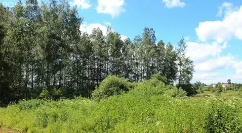 Участок в Московская область, Дмитровский муниципальный округ, ...
