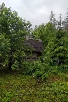 Дом в Ленинградская область, Гатчинский муниципальный округ, ...