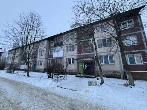 1-к кв. Ленинградская область, Кингисеппский район, д. Большая ...