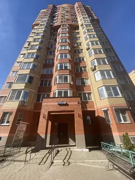 2-к кв. Московская область, Балашиха Ольгино мкр, ул. Жилгородок, 4к1 ...