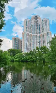 Квартира-студия: Москва, Михневская улица, 8 (45.6 м)