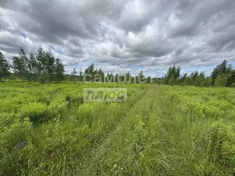 Участок в Брянская область, Брянский район, Добрунское с/пос, с. ...