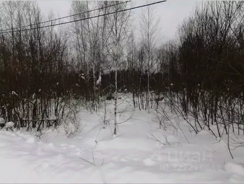 Участок в Московская область, Куровское Орехово-Зуевский городской ...