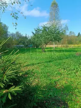 Участок в Ленинградская область, Кингисеппский район, Опольевское ...