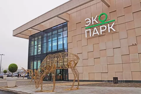 Торговая площадь в Ленинградская область, Мурино Всеволожский район, ...