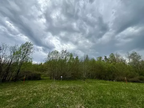 Участок в Ленинградская область, Всеволожский район, Куйвозовское ...