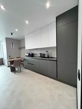 1-к кв. Приморский край, Владивосток Нерчинская ул., 14 (50.0 м)