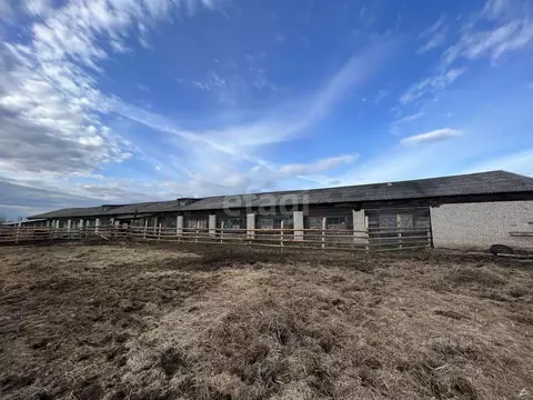 Склад в Архангельская область, Котласский муниципальный округ, д. ...