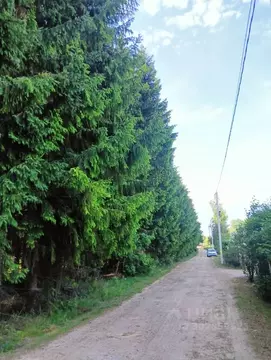 Участок в Новгородская область, Новгородский район, Ракомское с/пос, ...