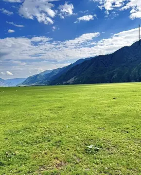 Участок в Алтай, Чемальский район, с. Чемал  (10.0 сот.)