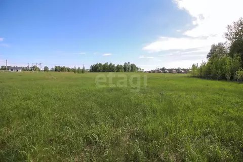 Участок в Алтайский край, Первомайский район, с. Фирсово, Полесье мкр  ...