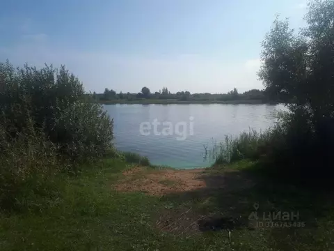 Участок в Ярославская область, Некрасовский муниципальный округ, ...