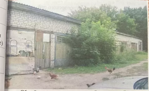 Помещение свободного назначения в Брянская область, Красная Гора рп ...