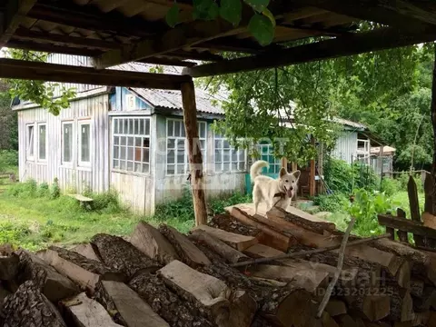 Участок в Краснодарский край, Туапсинский муниципальный округ, с. ...