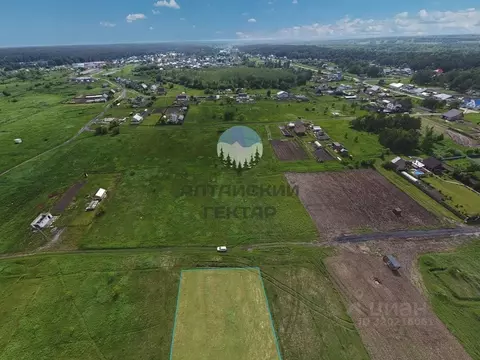 Участок в Алтайский край, Барнаул городской округ, пос. Бельмесево ул. ...