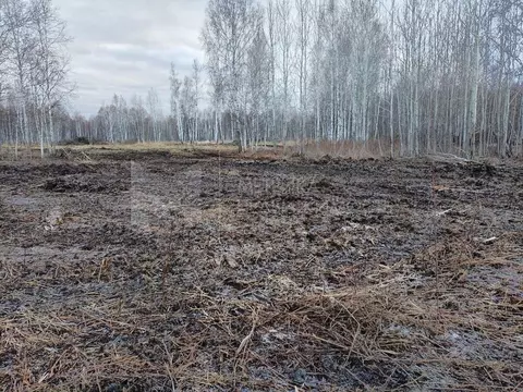 Участок в Тюменская область, Нижнетавдинский муниципальный округ, ...