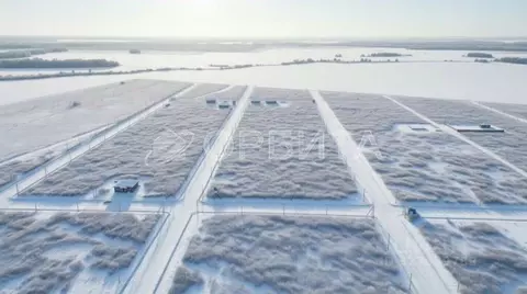 Участок в Тюменская область, Тюменский муниципальный округ, д. ...