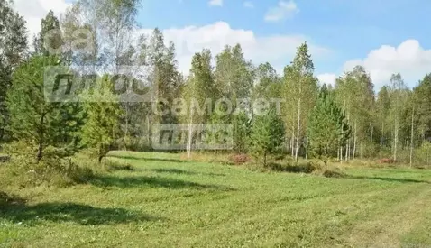 Участок в Тюменская область, Нижнетавдинский район, пос. Лесозаводский ...