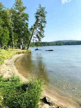 Участок в Свердловская область, Невьянский муниципальный округ, ...